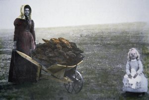 牛の糞を集める開拓者の女性（カンザス州、1880年頃）（カラー写真 作： American Photographer