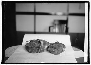 禁酒隊（カウ・シューズ） 1924年6月28日（モノクロ写真 作： American Photographer