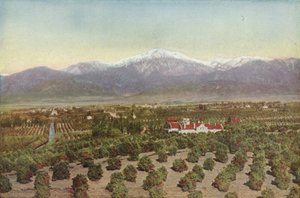 レッドランズ、カリフォルニア州、スマイリーハイツからの眺め（カラー写真） 作： American Photographer