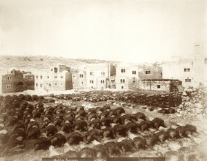 ヘブロンの皮なめし工場で、手前に皮革が敷かれています。1898〜1911年 作： American Photographer