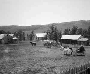ワイオミング州クルック郡ヘイリー牧場、1890年頃（モノクロ写真 作： American Photographer