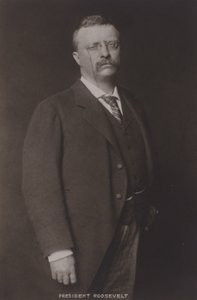 セオドアルーズベルト、第26代アメリカ合衆国大統領、1904年