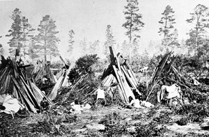 ヨセミテインディアンハット、1870年代 作： American Photographer