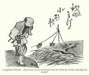 日本の農家、木の紐と滑り台で鳥から守られた稲の苗床（彫刻 作： アメリカの学校