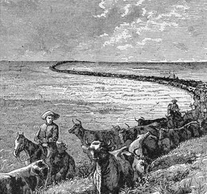 グレートプレーンズのトレイル、「ハーパーズウィークリー」からのイラスト、1874年、ラルフヘンリーガブリエル作「The Pageant of America、Vol.3」から 作： American School