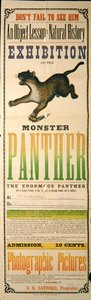 怪獣パンサーの展示会広告 作： アメリカの学校