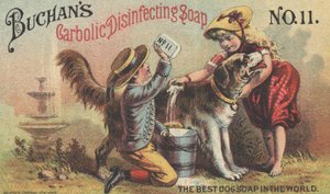 Buchans炭水化物消毒石鹸No. 11、c.1880の広告 作： American School
