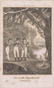 アレクサンダーウィルソンとサスケハナの仲間、1809 作： American School
