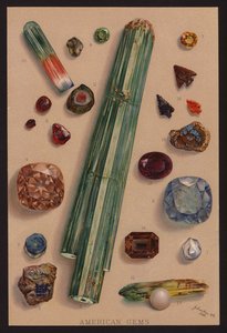 アメリカの宝石（カラーリトグラフ） 作： American School