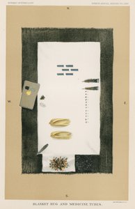 毛布敷物と薬のチューブ 作： American School