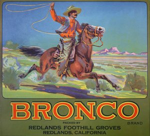 ブロンコ・オランジュ」1900年頃（カラーリトグラフ 作： American School