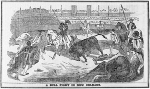 1849年ボストン、デイビークロケットアルマナックからのニューオーリンズでの闘牛 作： American School