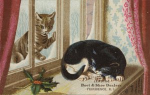 外を見る猫 作： American School