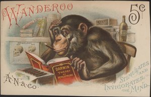 チャールズ・ダーウィン、開発理論（すなわち進化論） 作： American School