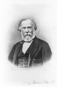 チャールズエドワールブラウンシーカード、1880年頃 作： American School
