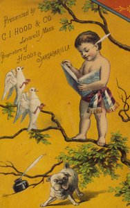 ケルビムの木で本を読んで
