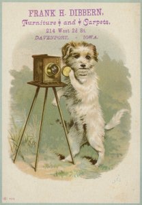 カメラを持つ犬 作： American School