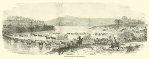 1864年7月、ポトマックの早期再交配 作： American School