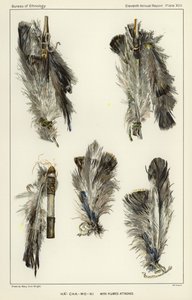 Ha-Cha-Mo-Ni with plumes attached  作： American School