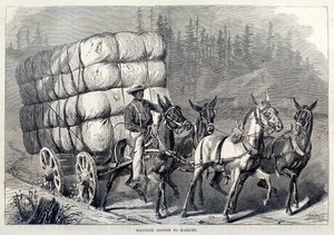 綿花を市場に運ぶ、『アメリカの百年の歩み』より。1871年 刻印 作： American School