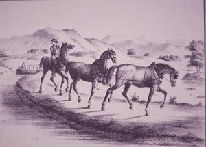 エリー運河でカナルボートを引く馬たち（彫刻 作： American School