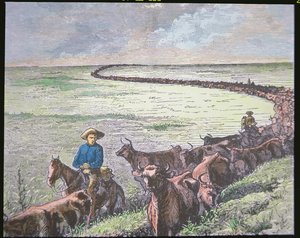 1870年代、テキサスからカンザス州アビリーンまでのロングホーン・キャトル・ドライブ（カラーリトグラフ 作： American School