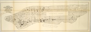 1874年5月1日から1875年4月30日までの小水疱瘡の発生場所を示すニューヨーク市の地図。 作： American School