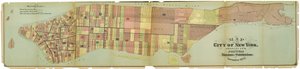 ニューヨーク市の地図で、その政治的区分と細分化を示す 作： American School