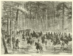 1865年1月、沼地を行進