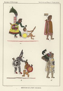 メキシコの軍事記章 作： American School