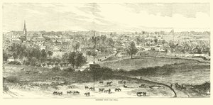 1862年5月、丘の上のナチェズ 作： American School