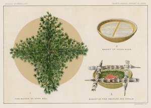 砂床の松の枝、ユッカの泡のバスケット、松葉とサンゴのバスケット 作： American School
