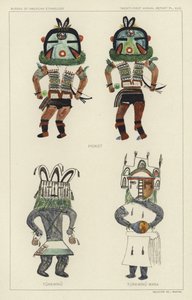 ピオコット、トゥルクウィヌ、トゥルクウィヌ・マナ（カラーリトグラフ） 作： アメリカの学校