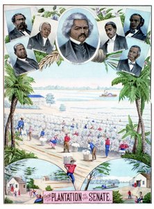 Plantations in the Senate（上院のプランテーション）：アメリカ南部の綿花プランテーションで働く黒人労働者と黒人上院議員を描いたイラスト。 作： American School