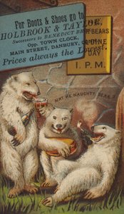 ホッキョクグマの飲酒と喫煙