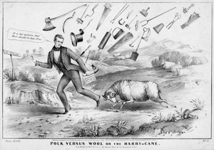 ポーク対ウール、または、ハリー・ケイン、HRロビンソン、ニューヨーク、1844年発行 作： American School
