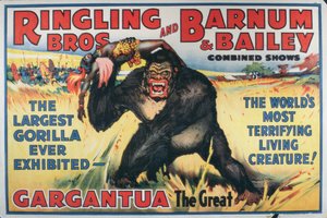 Ringling Bros and Barnum & Bailey Combined Shows」の「Gargantua the Great」のポスター（カラーリトグラフ