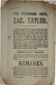 憲法条約の手続と演説、1861年3月19日 作： American School