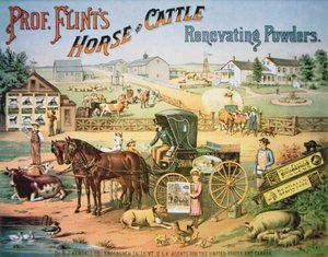 フリント教授の馬と牛の改良用パウダー」1900年頃（カラーリトグラフ 作： American School