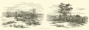 1862年9月の戦闘後のフィールドのシーン
