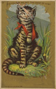 けがをした猫 作： American School