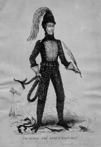 Black Mailを利用する動物、ニューヨーク、ベイカー発行、1842年 作： American School