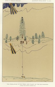 ヤマアラシと太陽の女の飛翔 作： American School