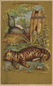 3つの疲れた猫。 作： American School