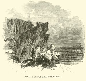 山の頂上、1863年11月 作： American School