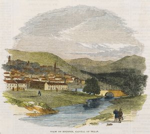 テキサス州の首都ヒューストンの眺めc。 1852（手塗りの木版画） 作： American School