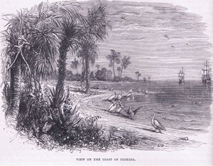 フロリダ州沿岸の風景、1890年頃にPetter & Galpin社から出版されたCassell