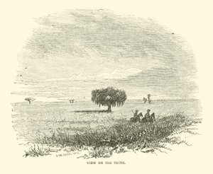 1863年4月Techeのビュー 作： American School