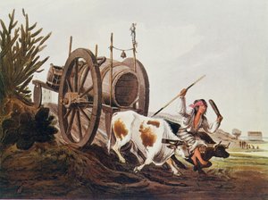 水のカート、Vidals Picturesque Illustrations of Buenos Aires and Montevideo、pub。 1820年、河岸プレートのロマンス、Vol。私、WHケーベル作、1914年 作： American School
