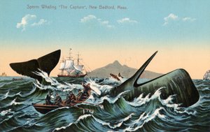 マサチューセッツ州ニューベッドフォード沖でマッコウクジラを銛で突く捕鯨船員たち 作： American School